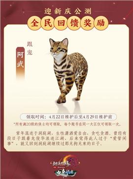 天龙八部私服熊猫